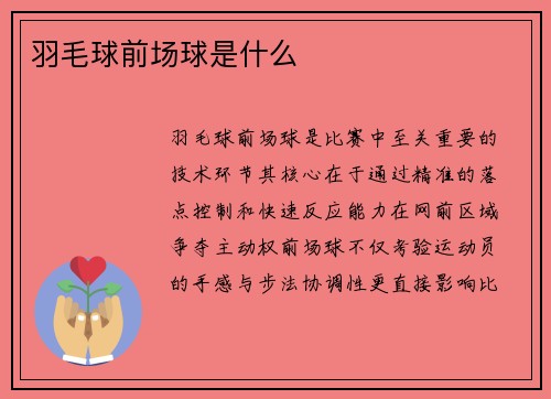 羽毛球前场球是什么